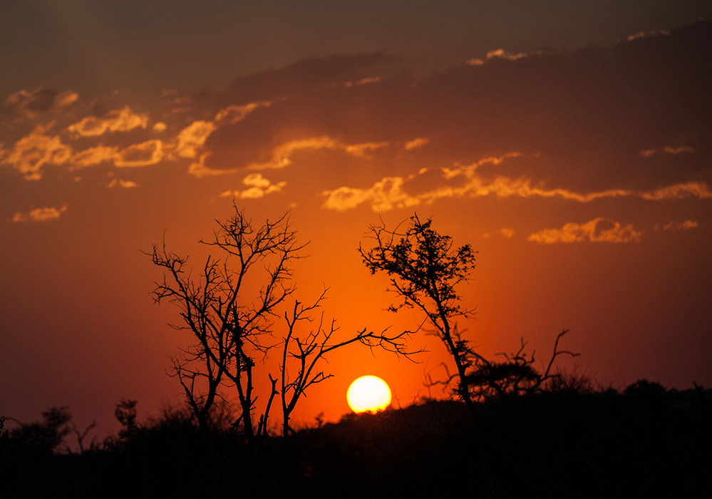 Madikwe Game Reserve Madikwe Sunset